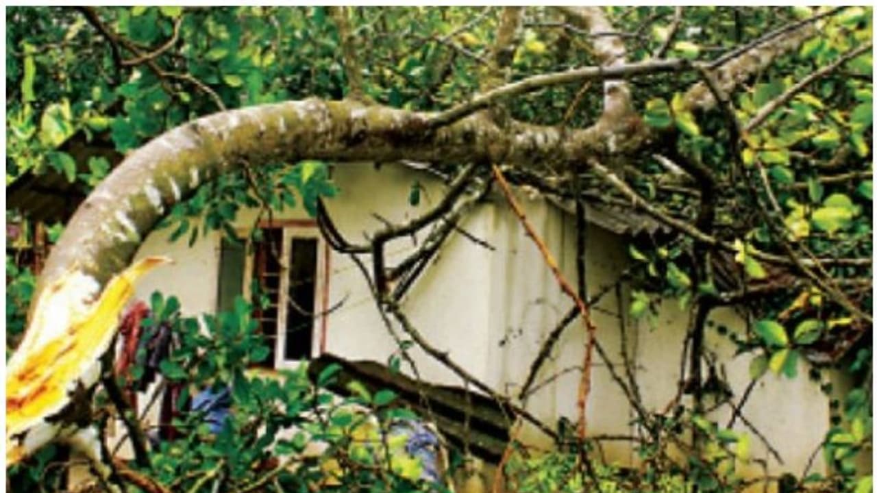 హైదరాబాద్ లో గాలి వాన బీభత్సం, ఒకరు మృతి హైదరాబాద్ లో గాలి వాన బీభత్సం, ఒకరు మృతి