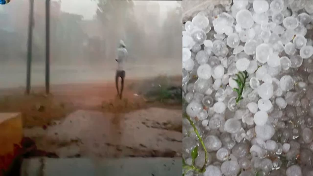 తెలంగాణలో వడగళ్ల వాన బీభత్సం...భారీగా పంట నష్టం (వీడియో) తెలంగాణలో వడగళ్ల వాన బీభత్సం...భారీగా పంట నష్టం (వీడియో)