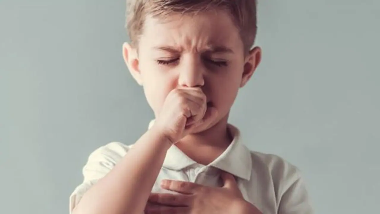 കുട്ടികളിലെ കഫക്കെട്ട്; അമ്മമാർ അറിഞ്ഞിരിക്കേണ്ട ചിലത് കുട്ടികളിലെ കഫക്കെട്ട്; അമ്മമാർ അറിഞ്ഞിരിക്കേണ്ട ചിലത്