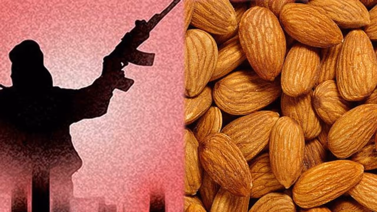 కశ్మీర్లో ఉగ్రవాదానికి మూలం ‘‘బాదం‘’ కశ్మీర్లో ఉగ్రవాదానికి మూలం ‘‘బాదం‘’