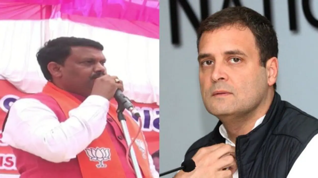 മോദി സിംഹം; വാലാട്ടി നിൽക്കുന്ന നായ്ക്കുട്ടിയാണ് രാഹുൽ ഗാന്ധി; ഗുജറാത്ത് മന്ത്രി മോദി സിംഹം; വാലാട്ടി നിൽക്കുന്ന നായ്ക്കുട്ടിയാണ് രാഹുൽ ഗാന്ധി; ഗുജറാത്ത് മന്ത്രി