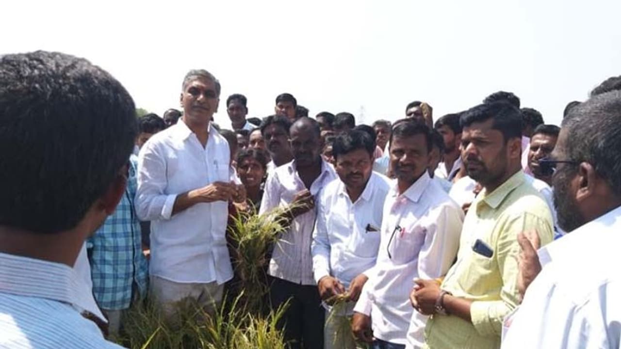 దెబ్బతిన్న పంటలను పరిశీలించిన హరీశ్ రావు (వీడియో) దెబ్బతిన్న పంటలను పరిశీలించిన హరీశ్ రావు (వీడియో)