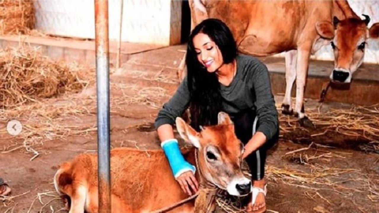 ಶ್ರೀನಿಧಿ ಶೆಟ್ಟಿ ಕೈಗೆ ಪೆಟ್ಟು; ಕೆಜಿಎಫ್ 2 ನಲ್ಲಿ ನಟಿಸ್ತಾರಾ?