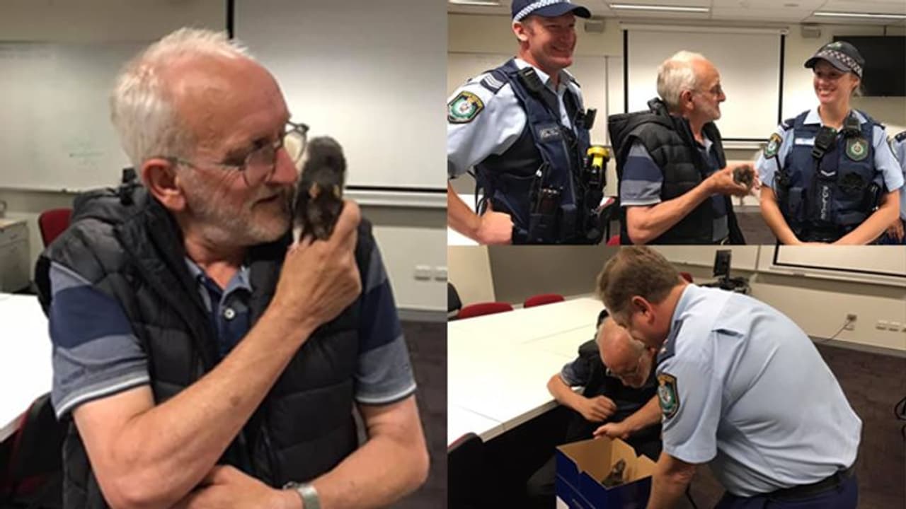 ನಾಪತ್ತೆಯಾದ ಇಲಿ ಹುಡುಕಿಕೊಟ್ಟ ಪೊಲೀಸ್: ತಾತ ಫುಲ್ ಖುಷ್! ನಾಪತ್ತೆಯಾದ ಇಲಿ ಹುಡುಕಿಕೊಟ್ಟ ಪೊಲೀಸ್: ತಾತ ಫುಲ್ ಖುಷ್!