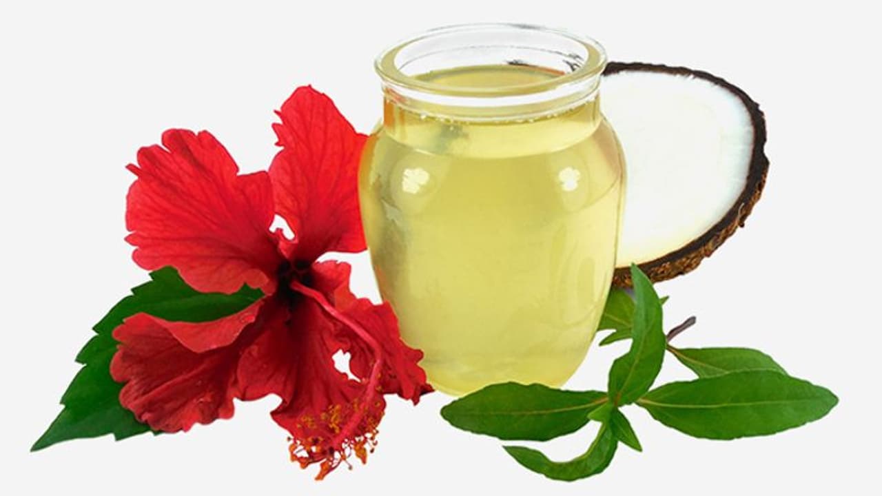 മുടി കൊഴിച്ചിൽ തടയാൻ ചെമ്പരത്തി; ഉപയോഗിക്കേണ്ട വിധം... മുടി കൊഴിച്ചിൽ തടയാൻ ചെമ്പരത്തി; ഉപയോഗിക്കേണ്ട വിധം...