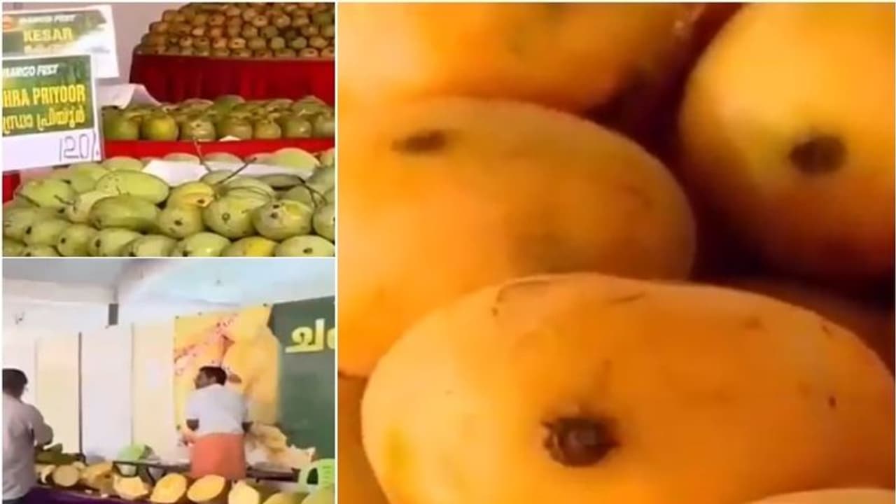 ಈ ಸಲ ಮಾವಿನ ಬೆಳೆಯೂ ಇಲ್ಲ, ಬೆಲೆಯೂ ಇಲ್ಲ!