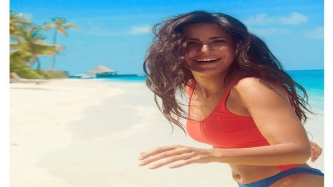 বলিউডে নতুন লাভস্টোরি, ক্যাটরিনার সঙ্গে ভিকির ঘনিষ্ঠতা নিয়ে তুমুল জল্পনা বলিউডে নতুন লাভস্টোরি, ক্যাটরিনার সঙ্গে ভিকির ঘনিষ্ঠতা নিয়ে তুমুল জল্পনা