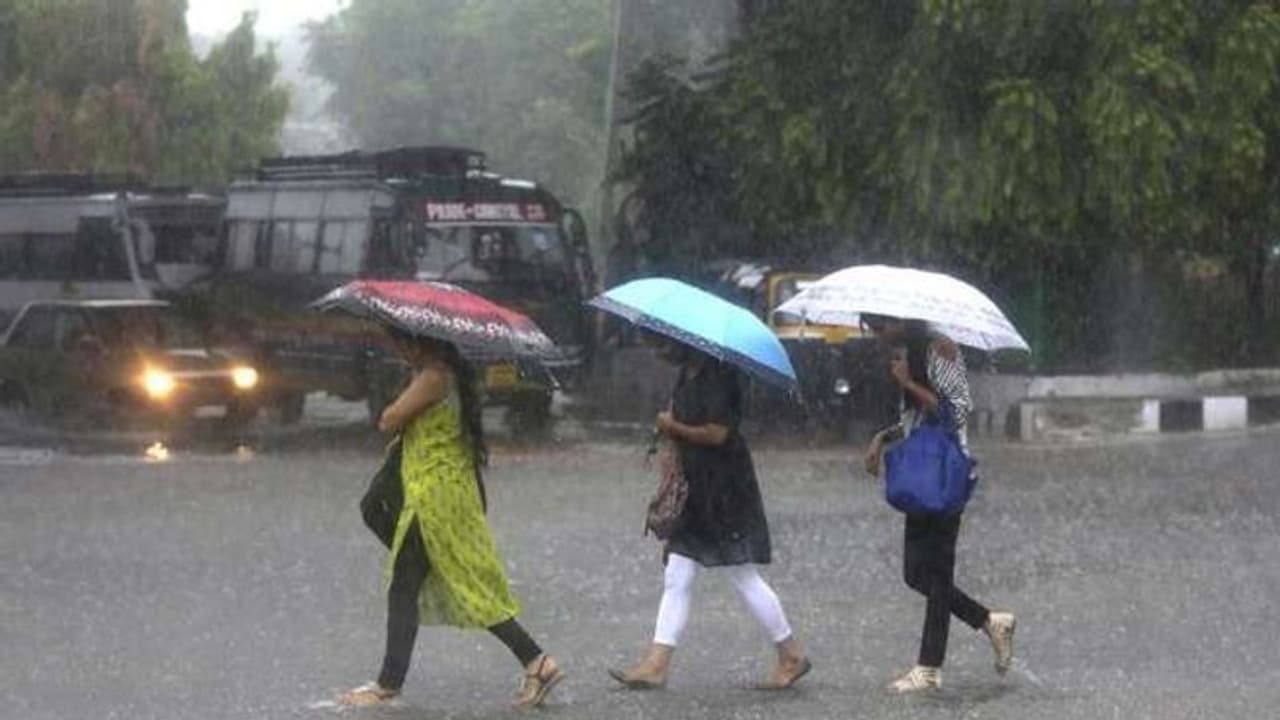 ಇನ್ನೆರಡು ದಿನಗಳಲ್ಲಿ ರಾಜ್ಯದ ಈ ಪ್ರದೇಶಗಳಲ್ಲಿ ಮಳೆ ಇನ್ನೆರಡು ದಿನಗಳಲ್ಲಿ ರಾಜ್ಯದ ಈ ಪ್ರದೇಶಗಳಲ್ಲಿ ಮಳೆ