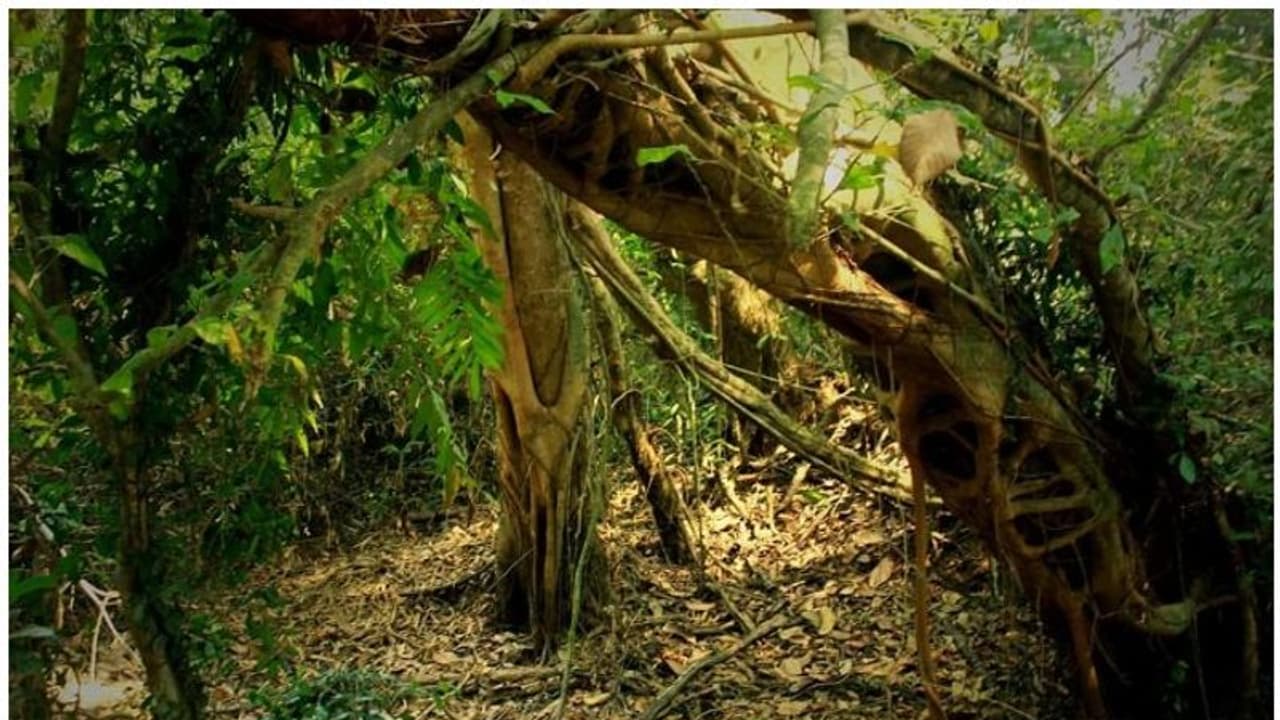 ശാന്തിവനം: വൈദ്യുതി ലൈൻ പദ്ധതിയുമായി കളക്ടര്, പ്രതിഷേധവുമായി സ്ഥലം ഉടമ ശാന്തിവനം: വൈദ്യുതി ലൈൻ പദ്ധതിയുമായി കളക്ടര്, പ്രതിഷേധവുമായി സ്ഥലം ഉടമ