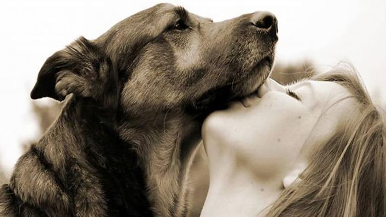 വീട്ടിൽ നായയെ വളർത്തുന്നുണ്ടോ; എങ്കിൽ ഇതാ ഒരു സന്തോഷവാർത്ത... വീട്ടിൽ നായയെ വളർത്തുന്നുണ്ടോ; എങ്കിൽ ഇതാ ഒരു സന്തോഷവാർത്ത...