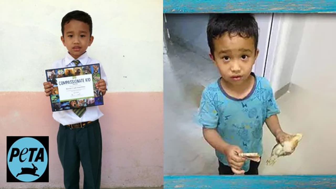 മിസോറാമിലെ 'അലിവുള്ള' ബാലന് PETA'യുടെ അംഗീകാരം മിസോറാമിലെ 'അലിവുള്ള' ബാലന് PETA'യുടെ അംഗീകാരം