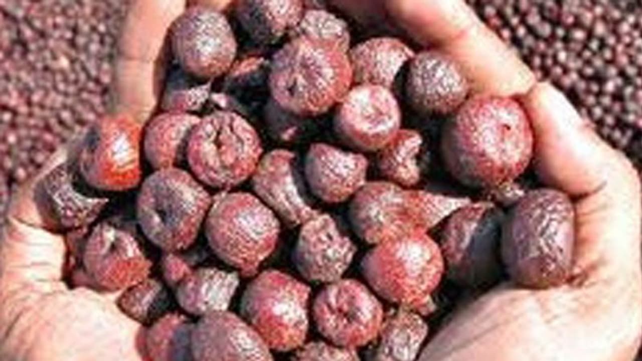 ಅಡಕೆ ದರದಲ್ಲಿ ಭರ್ಜರಿ ಏರಿಕೆ ಅಡಕೆ ದರದಲ್ಲಿ ಭರ್ಜರಿ ಏರಿಕೆ