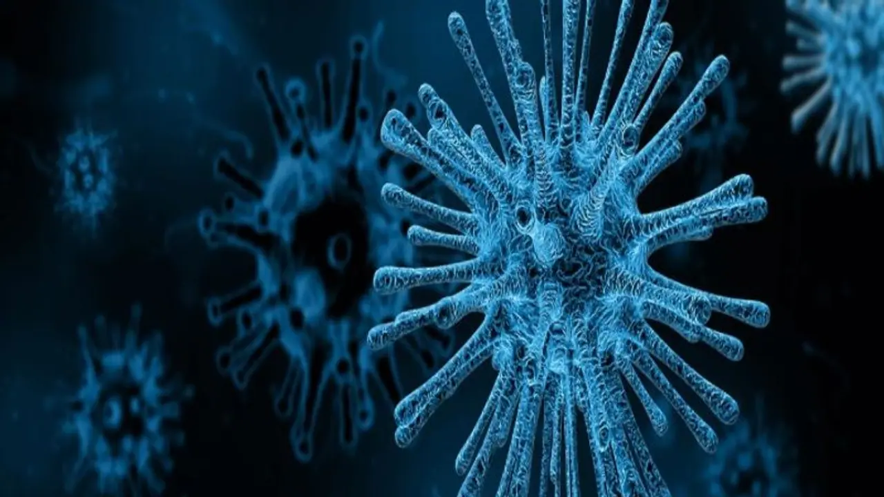 তোলপাড় বিশ্ব জুড়ে, ছড়াচ্ছে রহস্যময় সংক্রমণ তোলপাড় বিশ্ব জুড়ে, ছড়াচ্ছে রহস্যময় সংক্রমণ