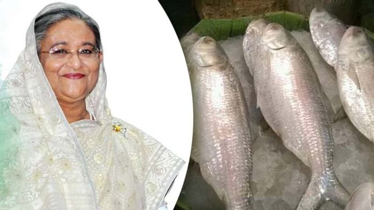 নববর্ষে পাতে ইলিশ নয়, হাসিনার বার্তা মেনে ফল পাচ্ছে বাংলাদেশ নববর্ষে পাতে ইলিশ নয়, হাসিনার বার্তা মেনে ফল পাচ্ছে বাংলাদেশ