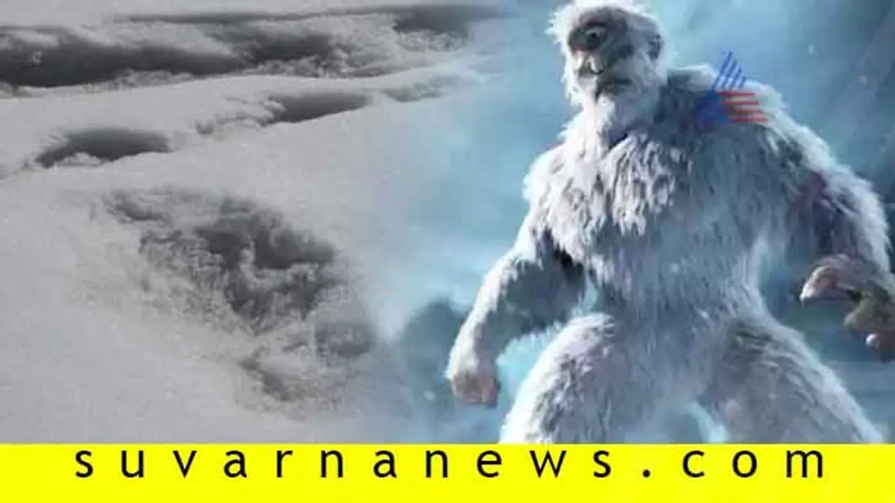 ಭಾರತೀಯ ಸೇನೆಗೆ ಸೆರೆಸಿಕ್ಕ ಹಿಮಮಾನವನ ಹೆಜ್ಜೆ ಗುರುತು!