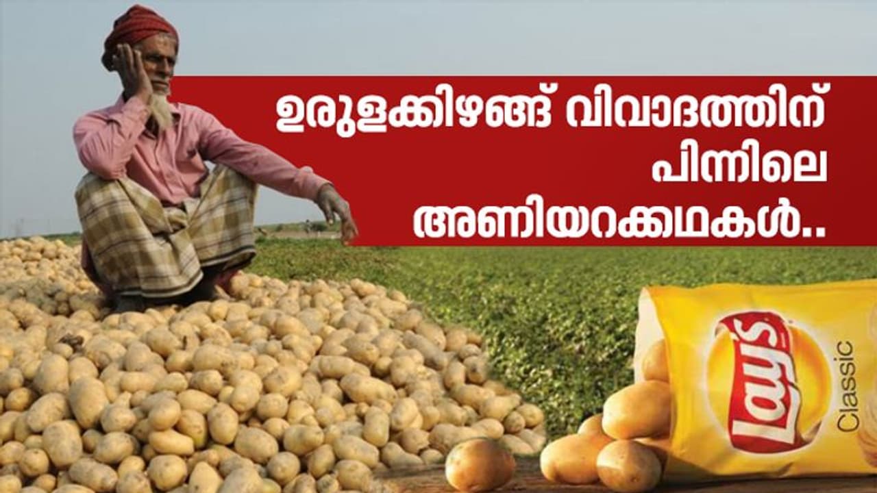 ലെയ്സ് ഉരുളക്കിഴങ്ങ് കേസ് നാളെ ആര്ക്കും സംഭവിക്കാവുന്നതോ?, തര്ക്കത്തിന് പിന്നിലെ കാരണങ്ങള് ഇതാണ് ലെയ്സ് ഉരുളക്കിഴങ്ങ് കേസ് നാളെ ആര്ക്കും സംഭവിക്കാവുന്നതോ?, തര്ക്കത്തിന് പിന്നിലെ കാരണങ്ങള് ഇതാണ്