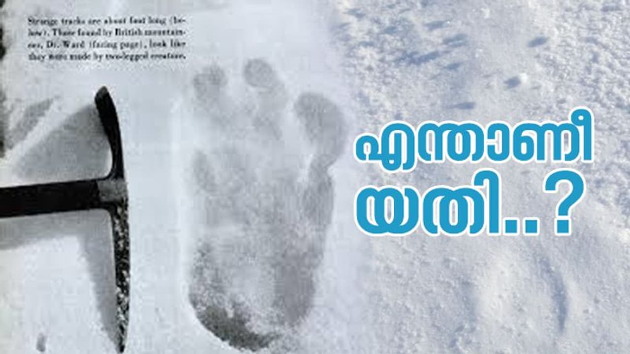 'യതിയുടെ കാല്‍പ്പാടുകള്‍' എന്തായിരിക്കും വാസ്തവം?