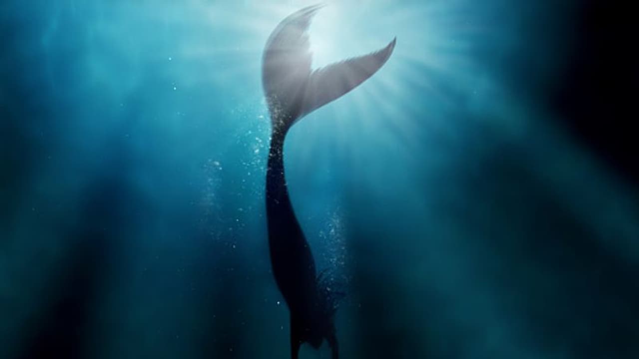 లక్కీ స్టోన్లో లైట్ అమర్చి.. జలకన్య కన్నుగా మాయమాటలు, 2 కోట్లకు అమ్మే యత్నం లక్కీ స్టోన్లో లైట్ అమర్చి.. జలకన్య కన్నుగా మాయమాటలు, 2 కోట్లకు అమ్మే యత్నం