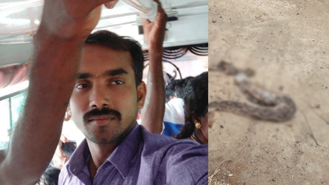 அரசு போக்குவரத்து பணிமனையில் பாம்பு கடித்து நடத்துனர் உயிரிழப்பு..! அரசு போக்குவரத்து பணிமனையில் பாம்பு கடித்து நடத்துனர் உயிரிழப்பு..!