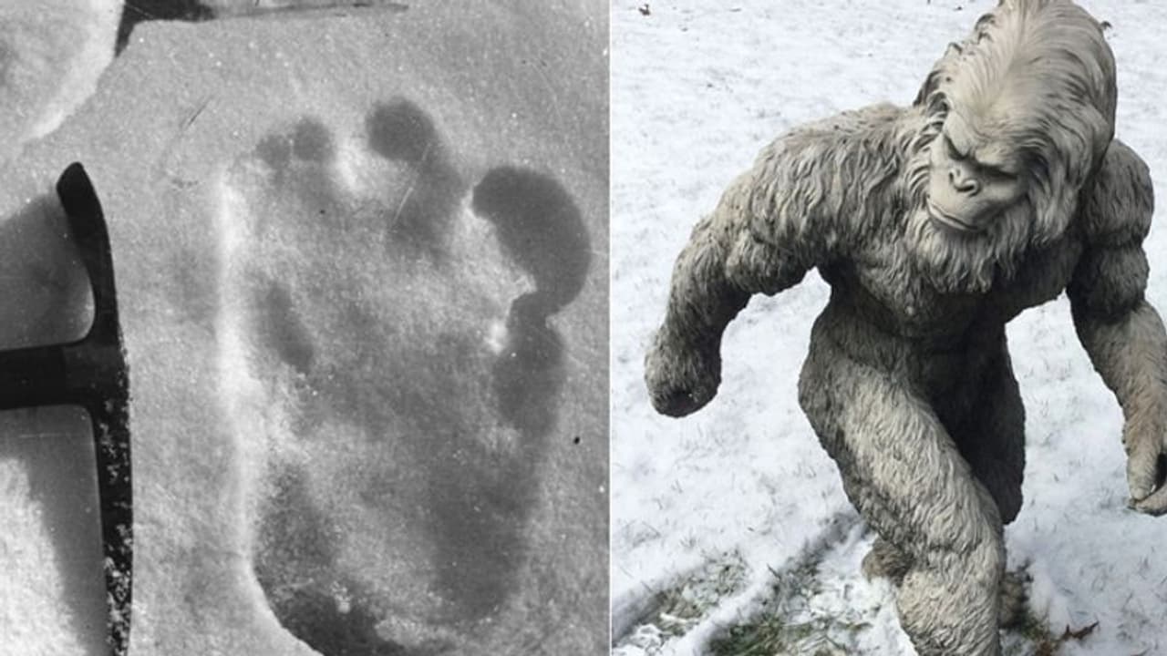 വെള്ളക്കാർ കണ്ടെത്തിയാൽ ആഹാ.. ഇന്ത്യൻ സൈന്യം കണ്ടെത്തിയാൽ അയ്യേ...; ഇതെന്തു ന്യായം..!