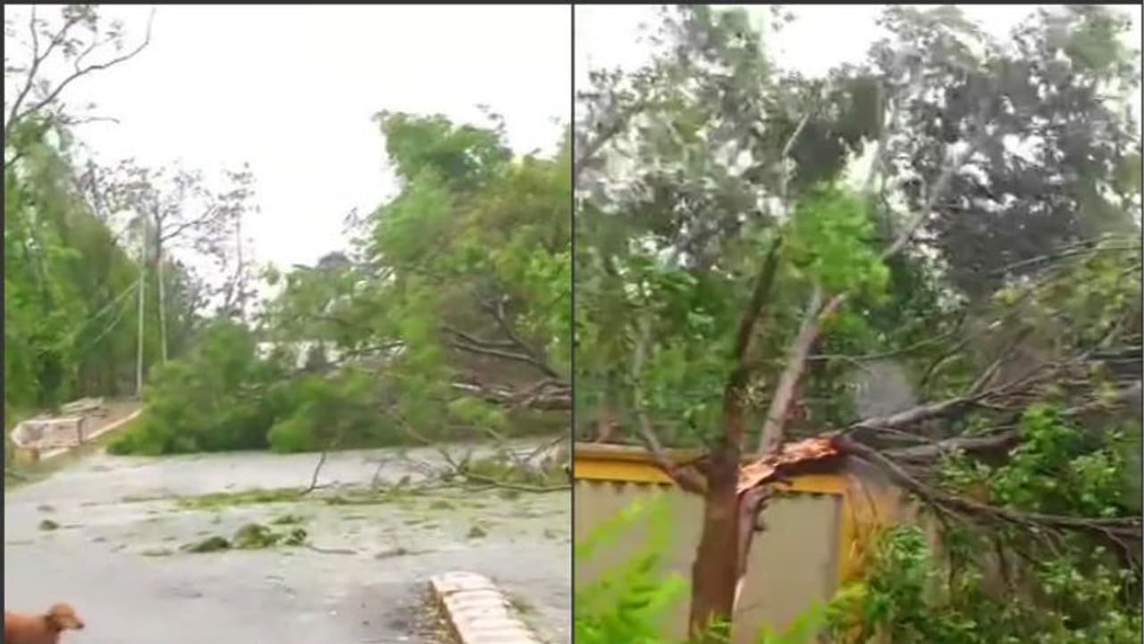 Cyclone Fani: Death toll rises to 10 in Odisha Cyclone Fani: Death toll rises to 10 in Odisha