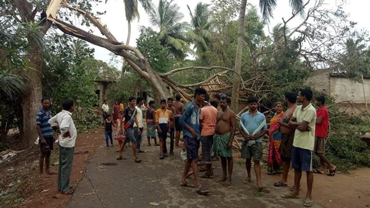 রোদে হাসছে কলকাতা, আয়লার কথা সুন্দরবনের মনে