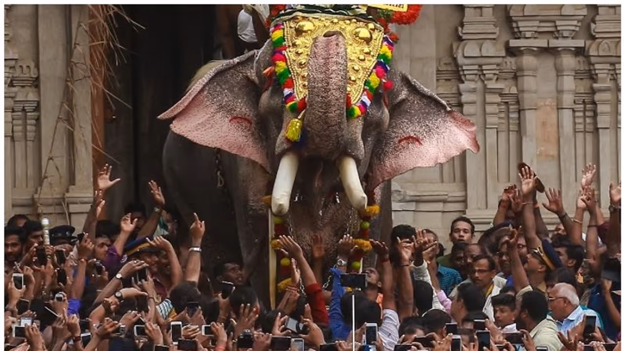 തെച്ചിക്കോട്ടുകാവ് രാമചന്ദ്രൻ അപകടമുണ്ടാക്കിയാൽ ഉത്തരവാദിത്വം ഏറ്റെടുക്കാൻ തയ്യാറെന്ന് ആന ഉടമകൾ തെച്ചിക്കോട്ടുകാവ് രാമചന്ദ്രൻ അപകടമുണ്ടാക്കിയാൽ ഉത്തരവാദിത്വം ഏറ്റെടുക്കാൻ തയ്യാറെന്ന് ആന ഉടമകൾ