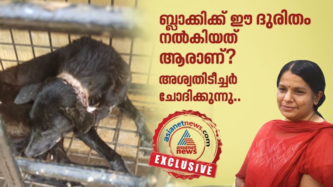 അവസാനിക്കുമോ ഈ കുരുക്കിടീൽ?