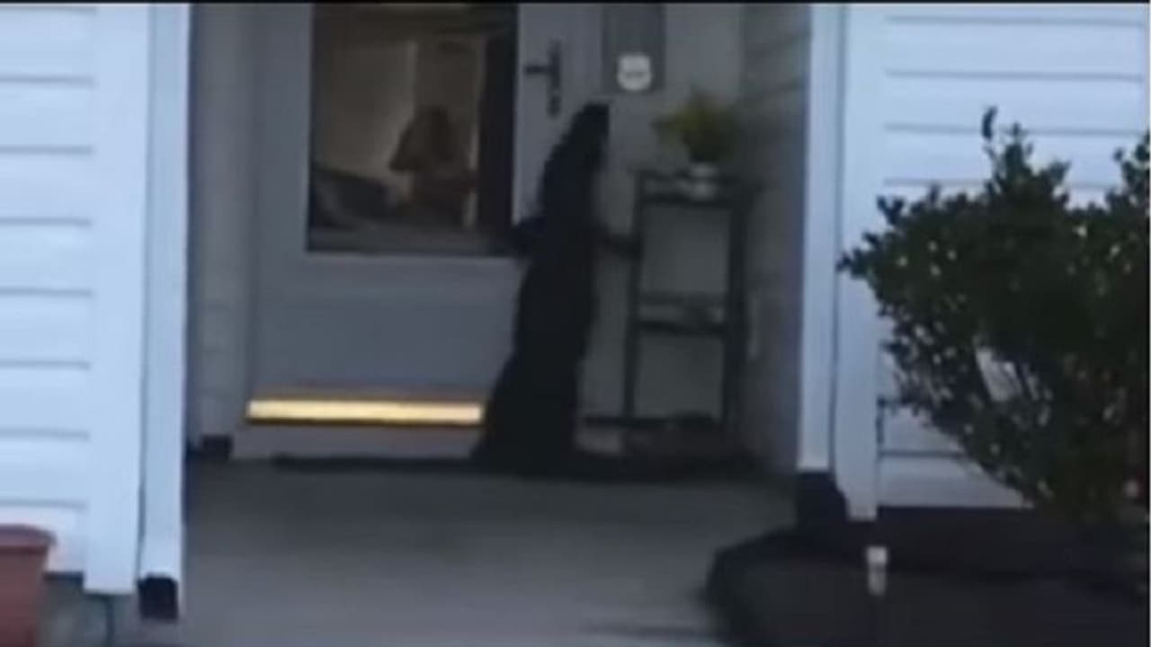 ಆರಡಿ ಮೊಸಳೆ ಮನೆಯ ಡೋರ್ ಬೆಲ್ ರಿಂಗ್ ಮಾಡಿದಾಗ..! ಆರಡಿ ಮೊಸಳೆ ಮನೆಯ ಡೋರ್ ಬೆಲ್ ರಿಂಗ್ ಮಾಡಿದಾಗ..!