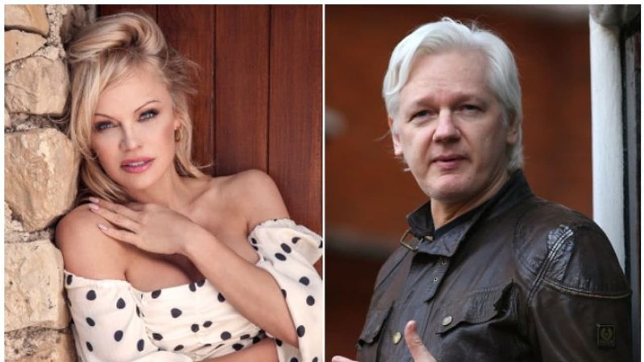 జైలులోనే వికీలీక్స్ వ్యవస్థాపకుడు అసాంజే పెళ్లికి అనుమతి..