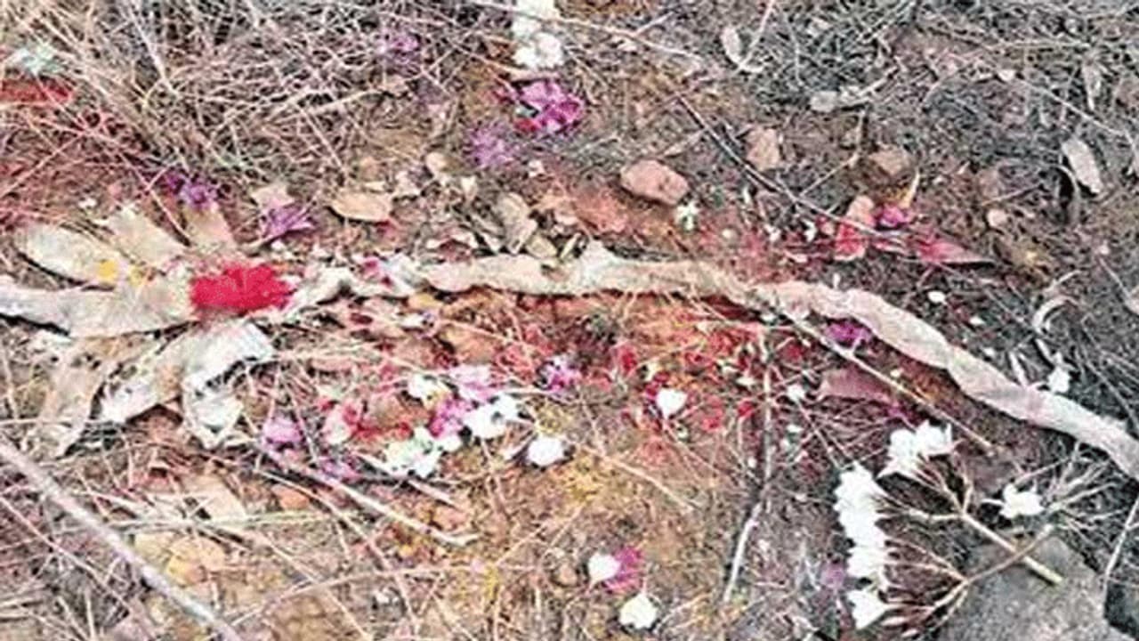 ఏడు తలల పాము కలకలం...గ్రామస్థుల పూజలు ఏడు తలల పాము కలకలం...గ్రామస్థుల పూజలు