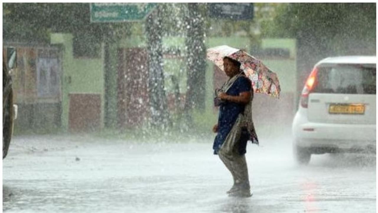 കാലവർഷം വീണ്ടും സജീവമാകുന്നു: ഒൻപത് ജില്ലകളിൽ യെല്ലോ അലർട്ട്, കോഴിക്കോട് മൂന്ന് ദിവസം ജാഗ്രത