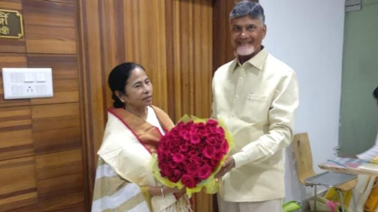 చంద్రబాబు వ్యూహానికి మమతా బ్రేక్: 21వ తేదీ భేటీకి నో