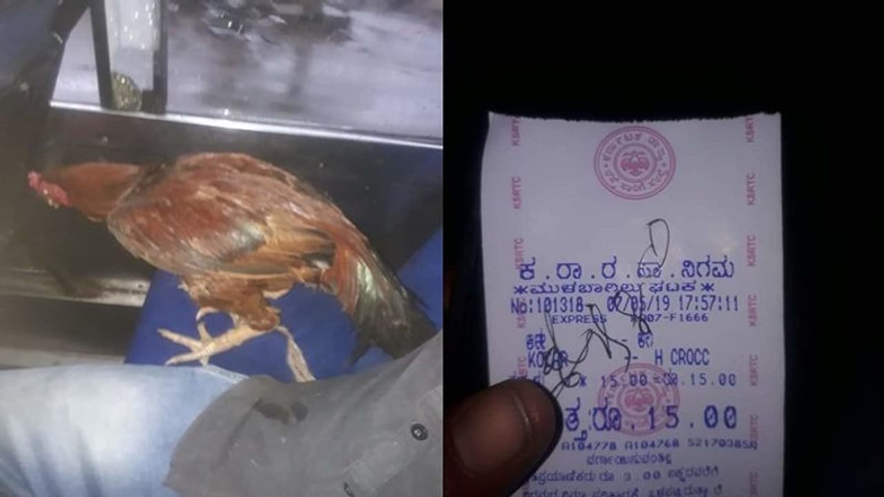 ಹುಂಜಕ್ಕೆ ಟಿಕೆಟ್ ಕೊಟ್ಟ ನಿರ್ವಾಹಕ, ಸರಿಯಾದ ಉತ್ತರನ್ನೇ ಕೊಟ್ಟ ಪ್ರಯಾಣಿಕ ಹುಂಜಕ್ಕೆ ಟಿಕೆಟ್ ಕೊಟ್ಟ ನಿರ್ವಾಹಕ, ಸರಿಯಾದ ಉತ್ತರನ್ನೇ ಕೊಟ್ಟ ಪ್ರಯಾಣಿಕ