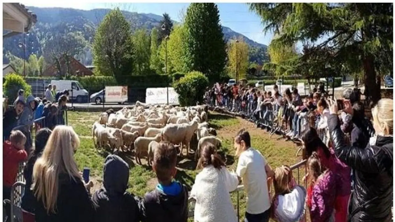 ഹാജര് വിളിച്ചപ്പോള് വിളി കേട്ടത് ചെമ്മരിയാട്!; സ്കൂള് അടച്ചുപൂട്ടാതിരിക്കാന് ആടുകളെ ക്ലാസിലിരുത്തി ജീവനക്കാര് ഹാജര് വിളിച്ചപ്പോള് വിളി കേട്ടത് ചെമ്മരിയാട്!; സ്കൂള് അടച്ചുപൂട്ടാതിരിക്കാന് ആടുകളെ ക്ലാസിലിരുത്തി ജീവനക്കാര്