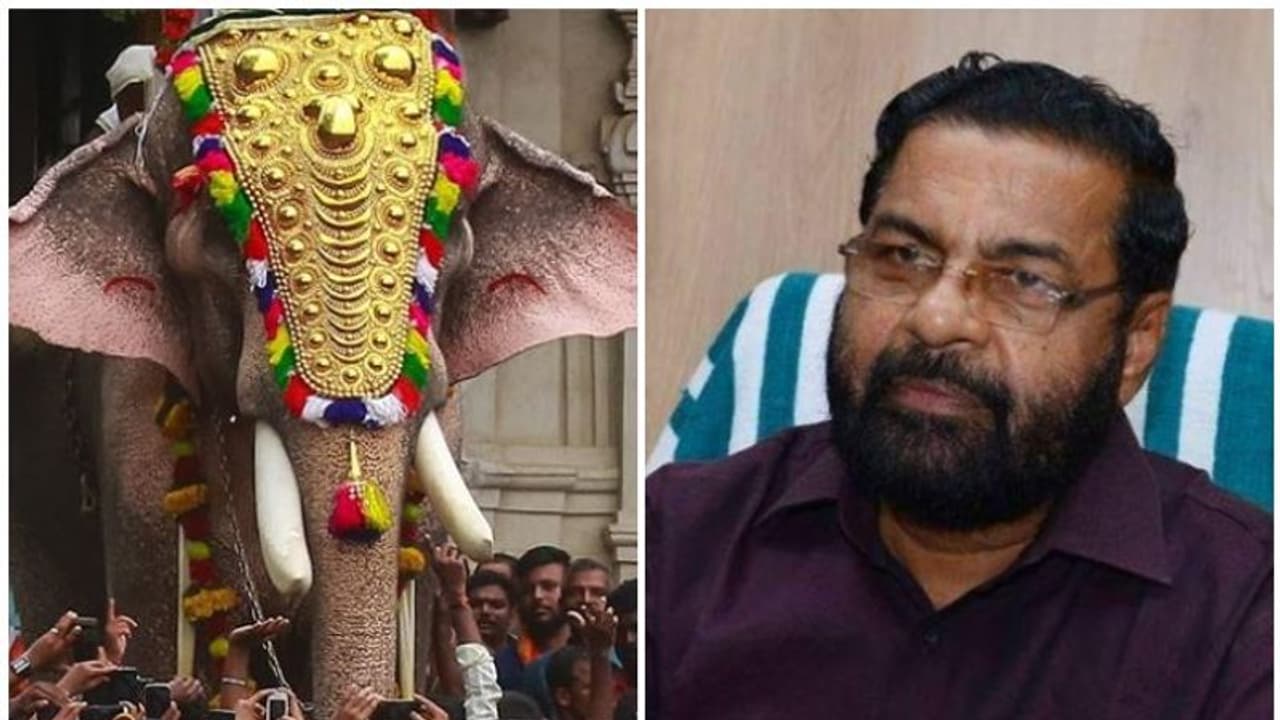 പൂര വിളംബരത്തിൽ തെച്ചിക്കോട്ടുകാവ് രാമചന്ദ്രനെ പങ്കെടുപ്പിക്കാം: നിയമോപദേശം ശരിവച്ച് ദേവസ്വം മന്ത്രി