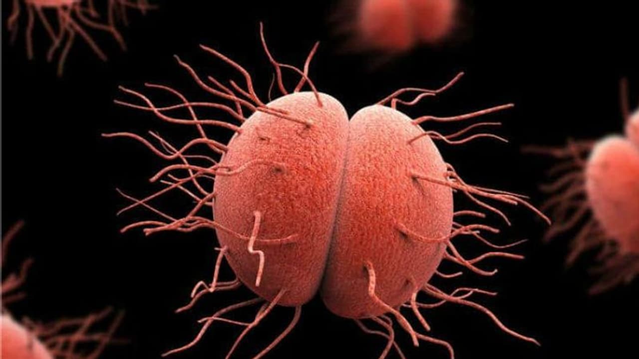 ലൈംഗികരോഗമായ 'ഗൊണേറിയ' ഇങ്ങനെയും പകരും... ലൈംഗികരോഗമായ 'ഗൊണേറിയ' ഇങ്ങനെയും പകരും...