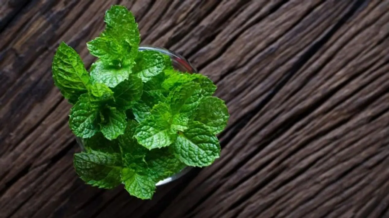 വേനല്ക്കാലത്തെ തലമുടി കൊഴിച്ചിലിന് ഇതാ ഒരു പരിഹാരം... വേനല്ക്കാലത്തെ തലമുടി കൊഴിച്ചിലിന് ഇതാ ഒരു പരിഹാരം...