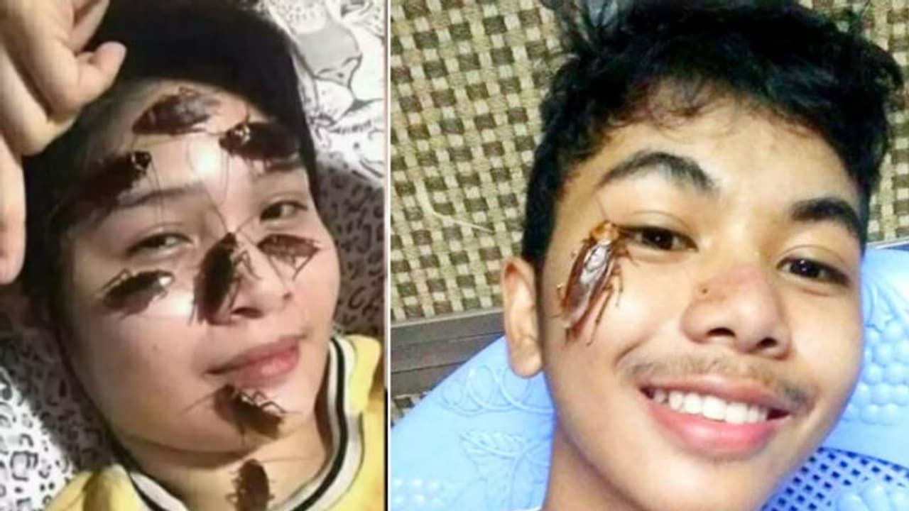 കാണുമ്പോള് ചെറിയ അസ്വസ്ഥത തോന്നാം; പക്ഷേ വേറെ രക്ഷയില്ല! കാണുമ്പോള് ചെറിയ അസ്വസ്ഥത തോന്നാം; പക്ഷേ വേറെ രക്ഷയില്ല!