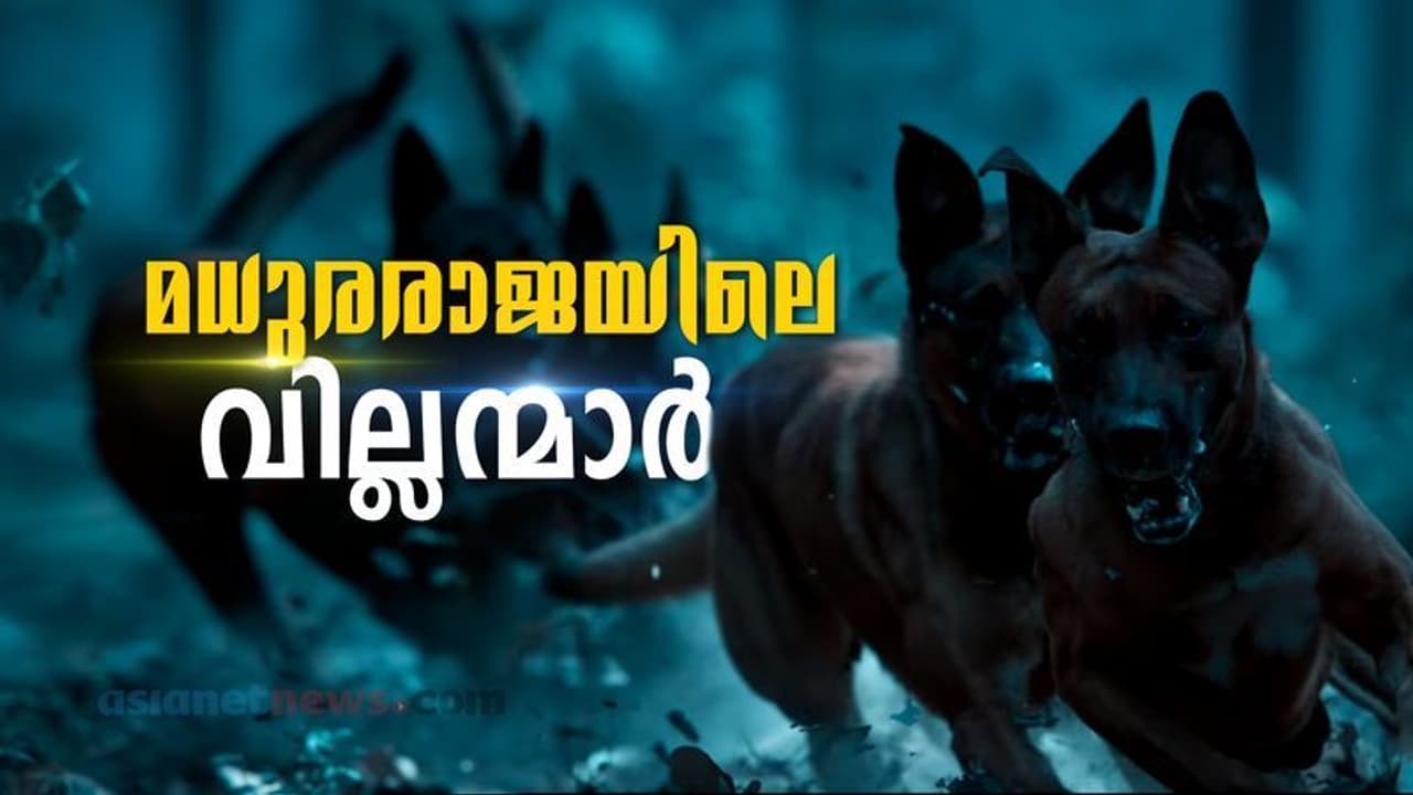 മധുരരാജയിലെ നായകള്‍ ഗ്രാഫിക്സാണോ; സംശയിക്കുന്നവര്‍ക്ക് ഇതാ ഉത്തരം