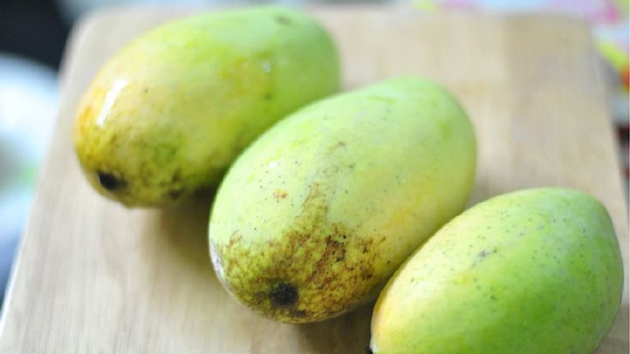 ওজন কমানো থেকে শুরু করে দৃষ্টিশক্তি ভালো রাখায় মোক্ষম দাওয়াই কাঁচা আম ওজন কমানো থেকে শুরু করে দৃষ্টিশক্তি ভালো রাখায় মোক্ষম দাওয়াই কাঁচা আম