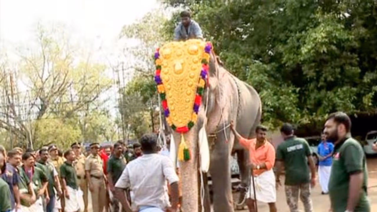 ഇത്തവണ പൂരത്തിന് തെക്കേ ഗോപുരനട തുറക്കാൻ തെച്ചിക്കോട്ടുകാവ് രാമചന്ദ്രനുണ്ടാകില്ല ഇത്തവണ പൂരത്തിന് തെക്കേ ഗോപുരനട തുറക്കാൻ തെച്ചിക്കോട്ടുകാവ് രാമചന്ദ്രനുണ്ടാകില്ല