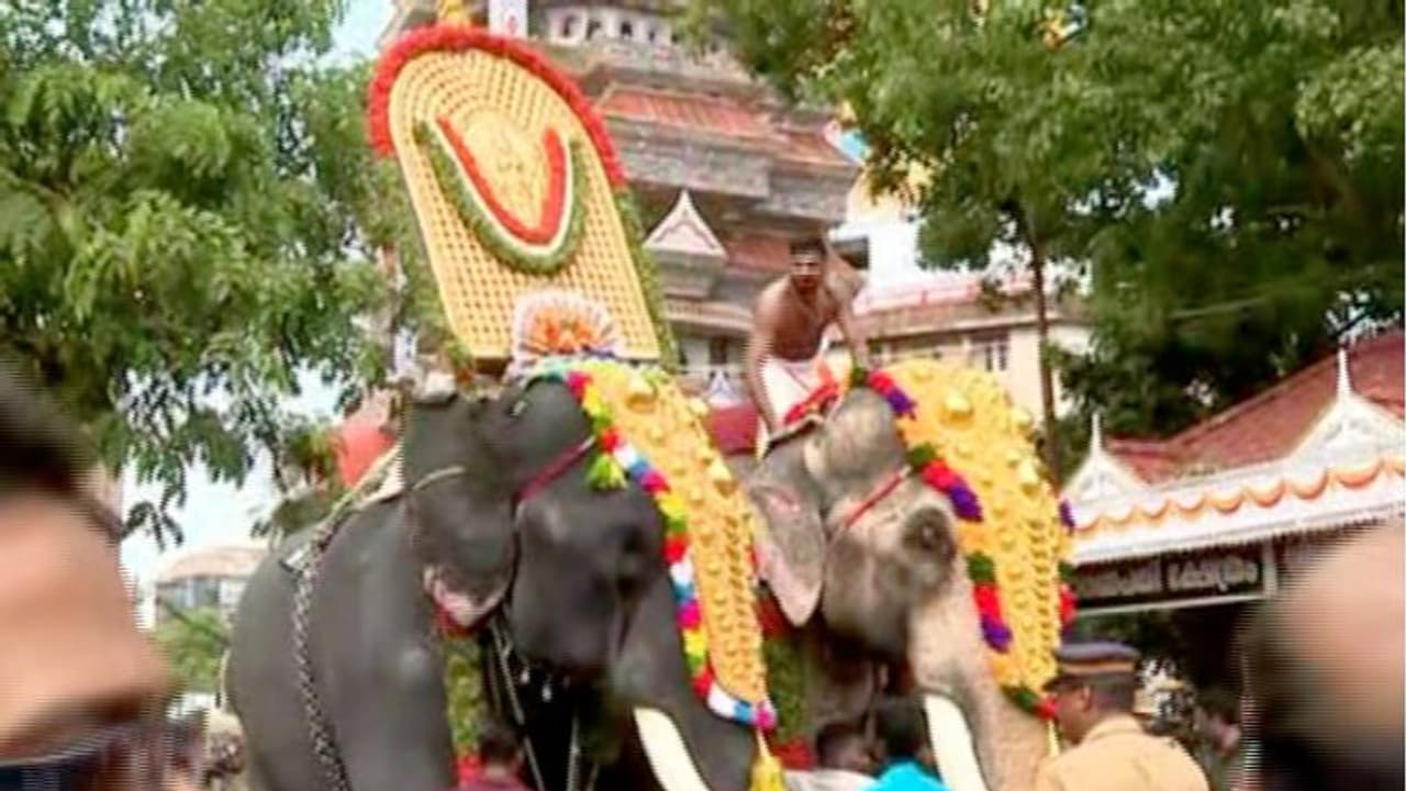 ദേവസ്വങ്ങൾക്ക് മുന്നറിയിപ്പുമായി വനംവകുപ്പ്: ആനകളുടെ എണ്ണം നൽകിയില്ലെങ്കിൽ സുപ്രീംകോടതിയെ അറിയിക്കും ദേവസ്വങ്ങൾക്ക് മുന്നറിയിപ്പുമായി വനംവകുപ്പ്: ആനകളുടെ എണ്ണം നൽകിയില്ലെങ്കിൽ സുപ്രീംകോടതിയെ അറിയിക്കും