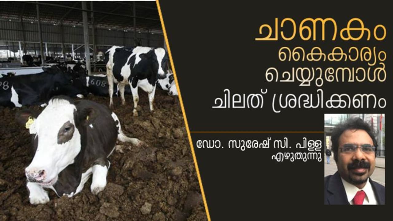 ചാണകം: വിശുദ്ധമോ, അശുദ്ധമോ? അറിയണം ഇക്കാര്യങ്ങള്‍..