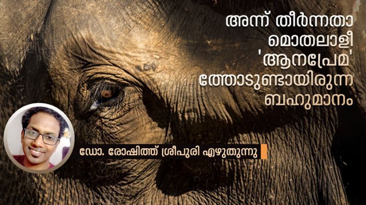 ഇങ്ങനെ എത്രയെത്ര 'ആനക്കഥകളാ'ണല്ലേ നമ്മള് കേട്ടിരിക്കുന്നത്... ഇങ്ങനെ എത്രയെത്ര 'ആനക്കഥകളാ'ണല്ലേ നമ്മള് കേട്ടിരിക്കുന്നത്...