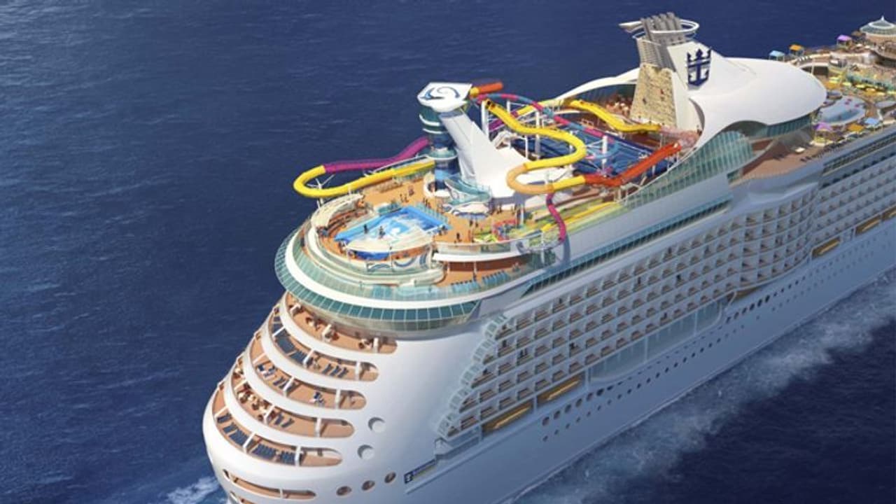 തീരത്ത് ഉണ്ടായിരുന്നത് ഏതാനും മണിക്കൂറുകള് മാത്രം; അതിഥിയെക്കണ്ട് കൊച്ചി അമ്പരന്നു തീരത്ത് ഉണ്ടായിരുന്നത് ഏതാനും മണിക്കൂറുകള് മാത്രം; അതിഥിയെക്കണ്ട് കൊച്ചി അമ്പരന്നു