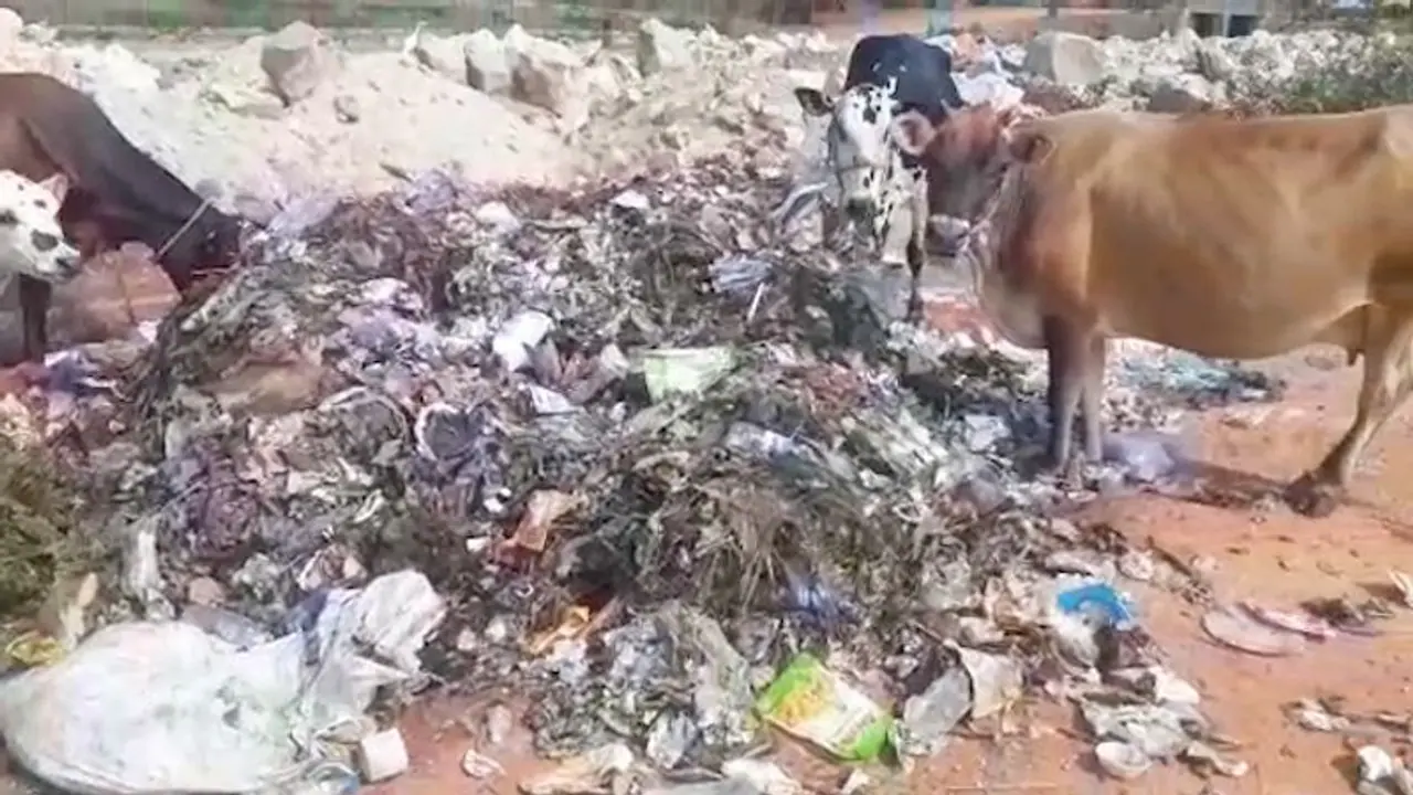 ಗದಗ: ರೋಗಗಳ ಉತ್ಪಾದನಾ ಕೇಂದ್ರವಾದ ಶಾಲಾ ಆವರಣ ಗದಗ: ರೋಗಗಳ ಉತ್ಪಾದನಾ ಕೇಂದ್ರವಾದ ಶಾಲಾ ಆವರಣ