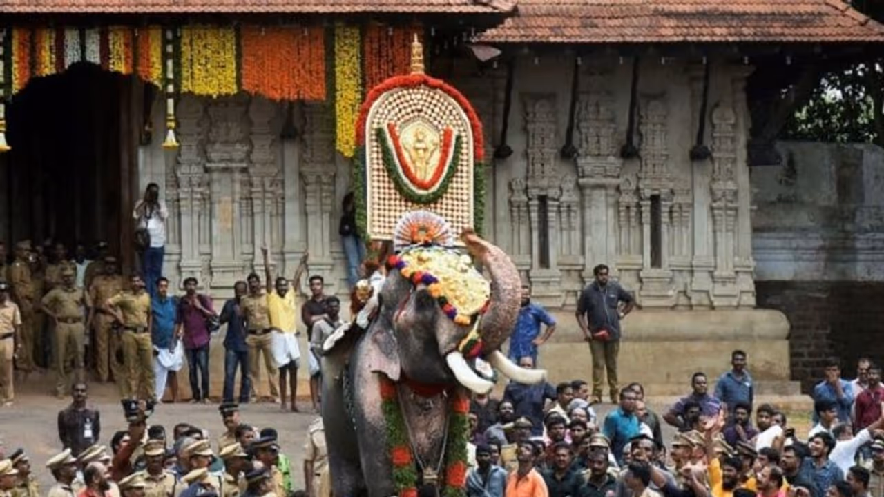 'മറ്റ് ആനകള്ക്കൊപ്പം പങ്കെടുപ്പിക്കരുത്'; തെച്ചിക്കോട്ട് രാമചന്ദ്രനെ എഴുന്നള്ളിക്കാൻ കര്ശന വ്യവസ്ഥകള് 'മറ്റ് ആനകള്ക്കൊപ്പം പങ്കെടുപ്പിക്കരുത്'; തെച്ചിക്കോട്ട് രാമചന്ദ്രനെ എഴുന്നള്ളിക്കാൻ കര്ശന വ്യവസ്ഥകള്