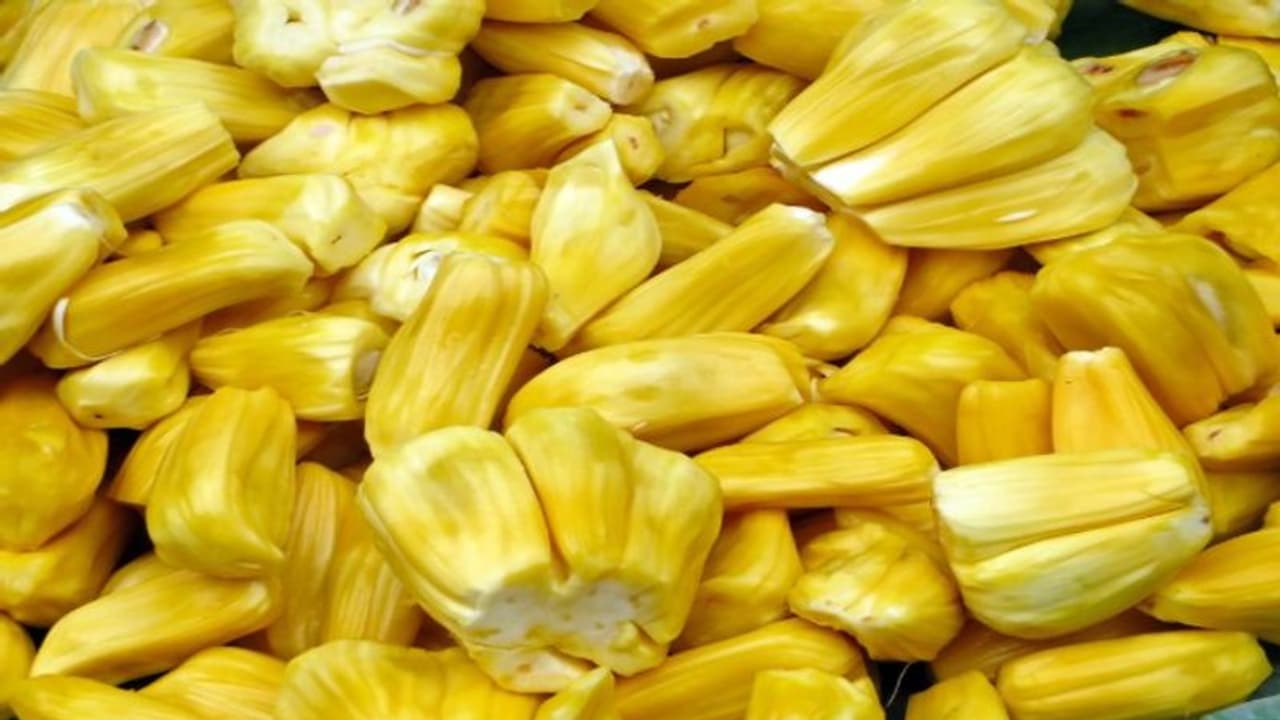 গরমে জমিয়ে কাঁঠাল খান! অনেক রোগের ওষুধ রয়েছে এই ফলে গরমে জমিয়ে কাঁঠাল খান! অনেক রোগের ওষুধ রয়েছে এই ফলে