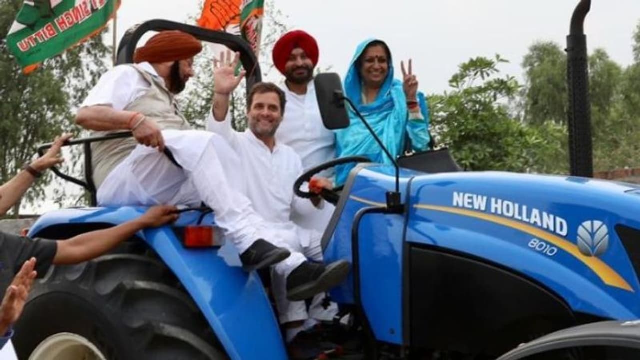 പഞ്ചാബിലെ കൃഷിഭൂമിയിൽ ട്രാക്‌ടറോടിച്ച് രാഹുൽ ഗാന്ധി: വീഡിയോ കാണാം